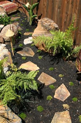 Small garden path with stepping stones, ferns, rocks, and a wooden fence over dark gravel.