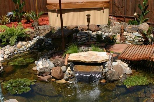 Backyard koi pond with a stone waterfall, rocks, plants, and a small wooden bridge