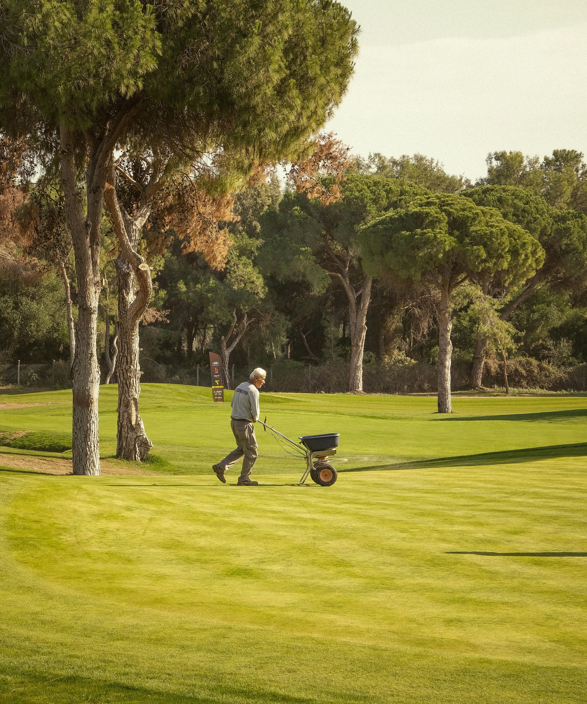 Person pushing a mower across a sunny green park with trees.