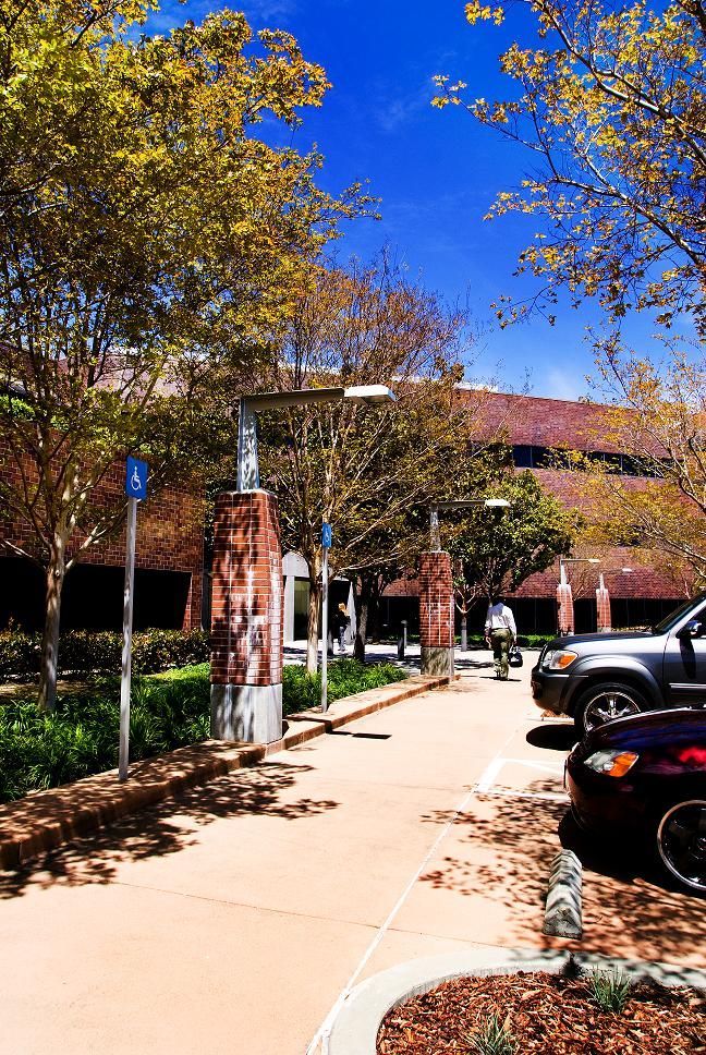 Tree-lined campus walkway beside parked cars and a brick building under a bright blue sky.