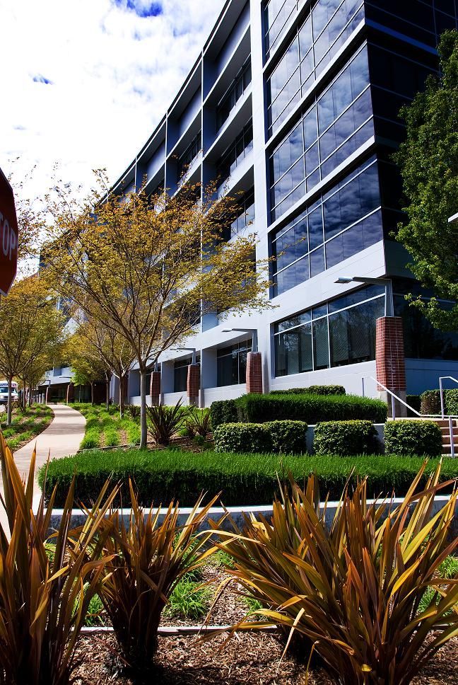 Modern glass office building beside a landscaped walkway with shrubs and autumn trees