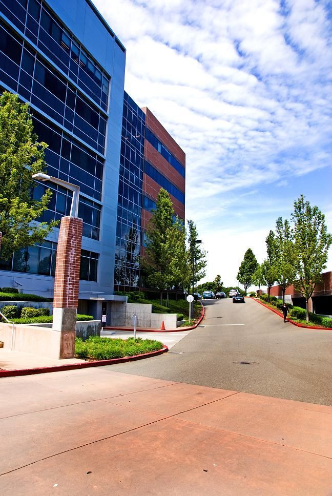 Modern office building with glass windows beside a tree-lined driveway on a sunny day