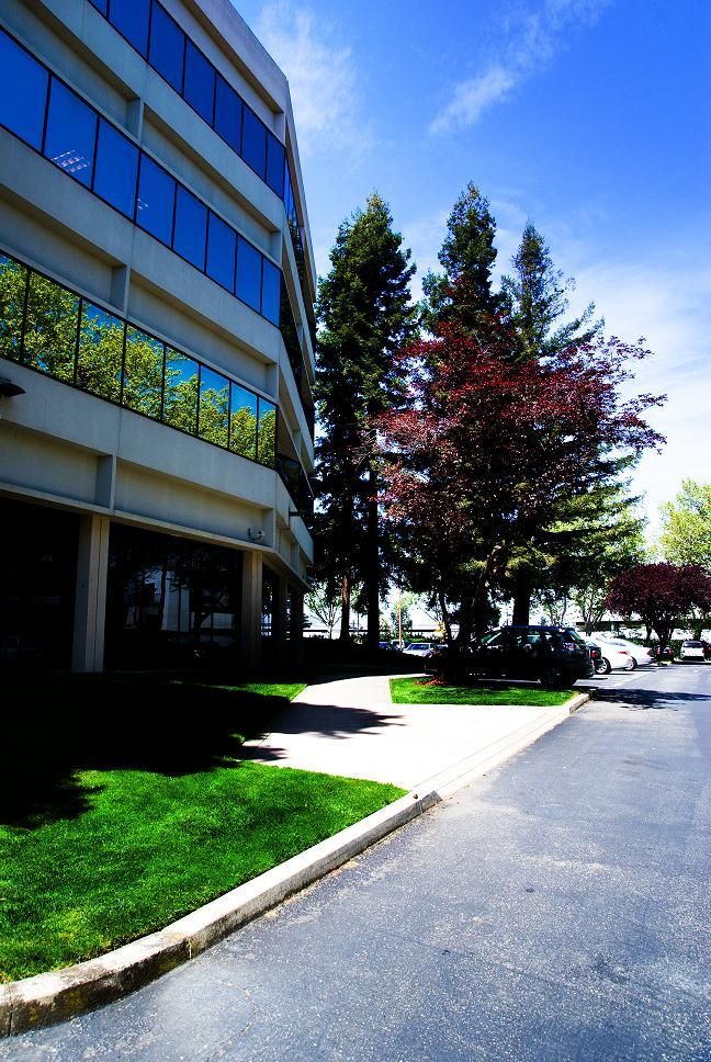Office building exterior with trees, green lawn, and a sunlit driveway under a blue sky