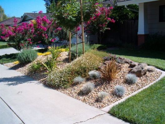 Landscaped front yard with pink flowering shrubs, succulents, and gravel beds beside a sidewalk