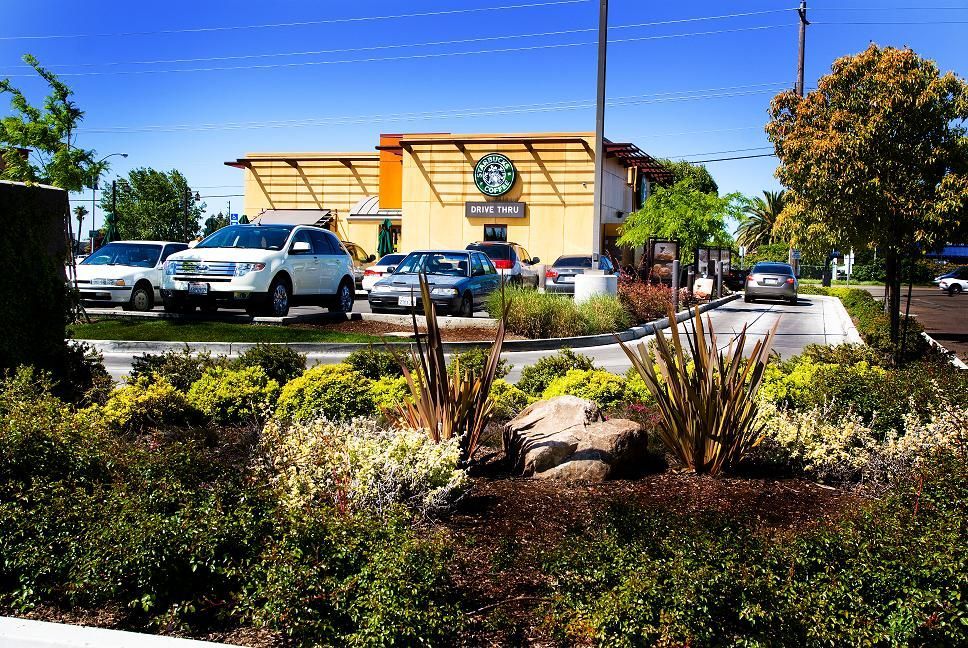 Landscaped parking lot with cars in front of a yellow building under a bright blue sky