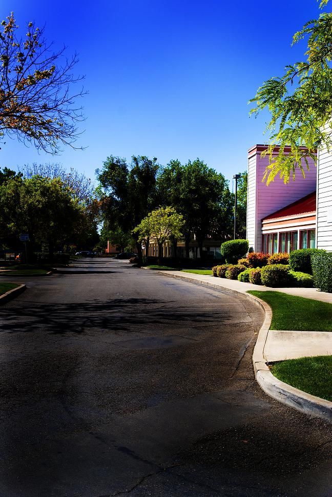 Curved residential street with trees, sidewalks, and a house with a pink exterior under a bright blue sky