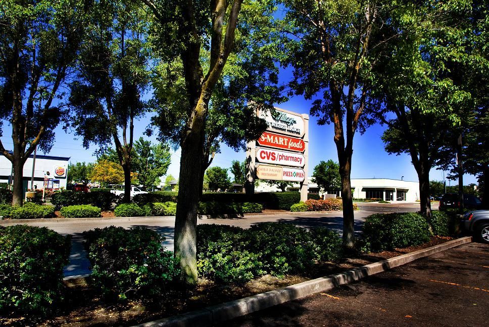 Tree-lined roadside with a sign for