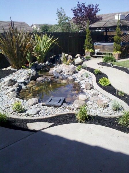 Backyard pond with rocks, plants, and a curved concrete patio in the foreground