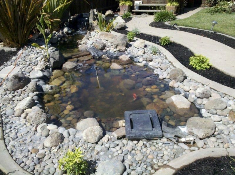Small garden pond with rocks, a stone path, and a black solar fountain in the water