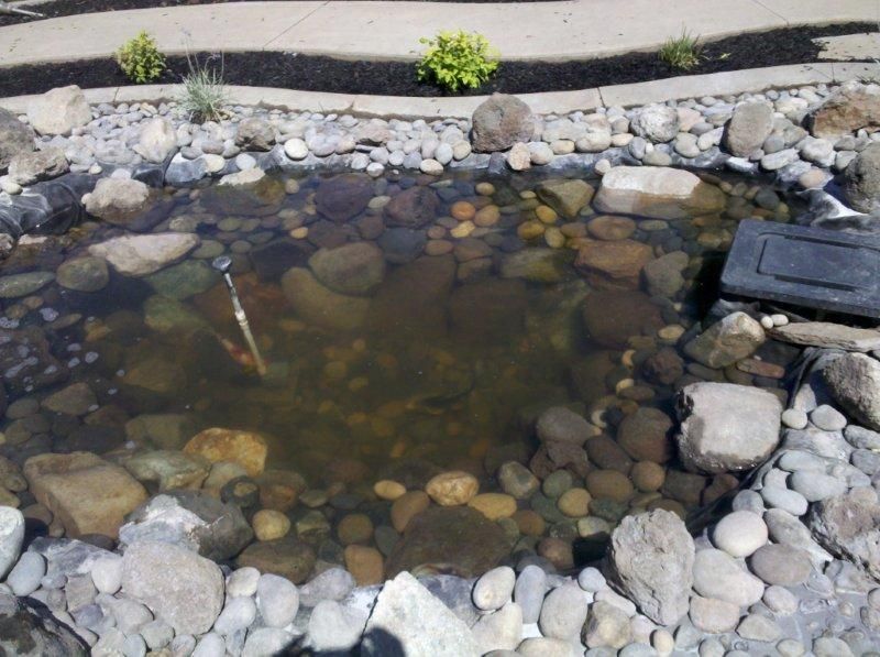 Rock-lined pond with clear water, rocks visible below, and a small black drain cover at the top right.