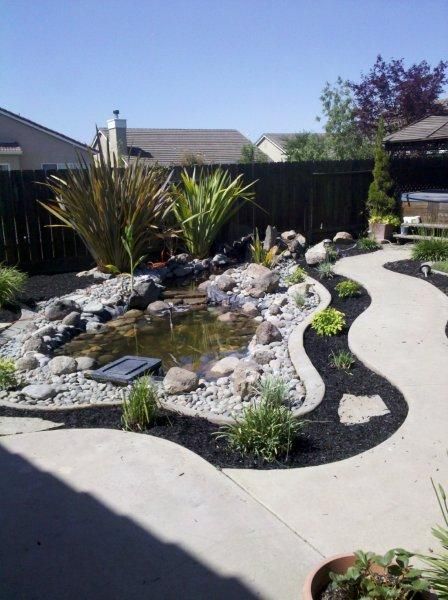 Backyard pond garden with rocks, plants, and curving concrete paths under a clear sky
