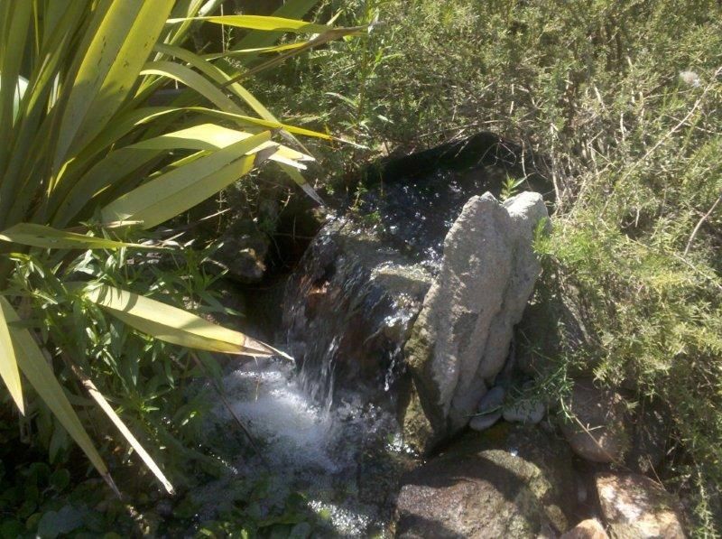 Small garden waterfall flowing over rocks amid green foliage and sunlight