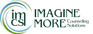 Logo for Imagine More Counseling Solutions, featuring a blue and green swirl icon next to the company name in dark text.