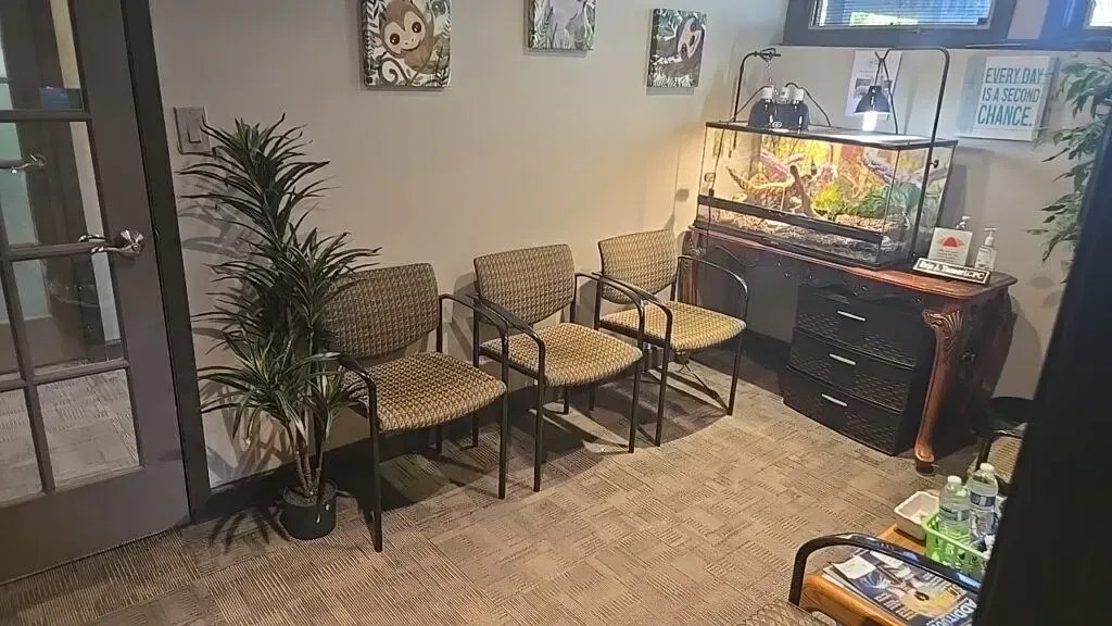 A waiting area with three chairs, a potted plant, and a fish tank on a wooden cabinet against a beige wall.