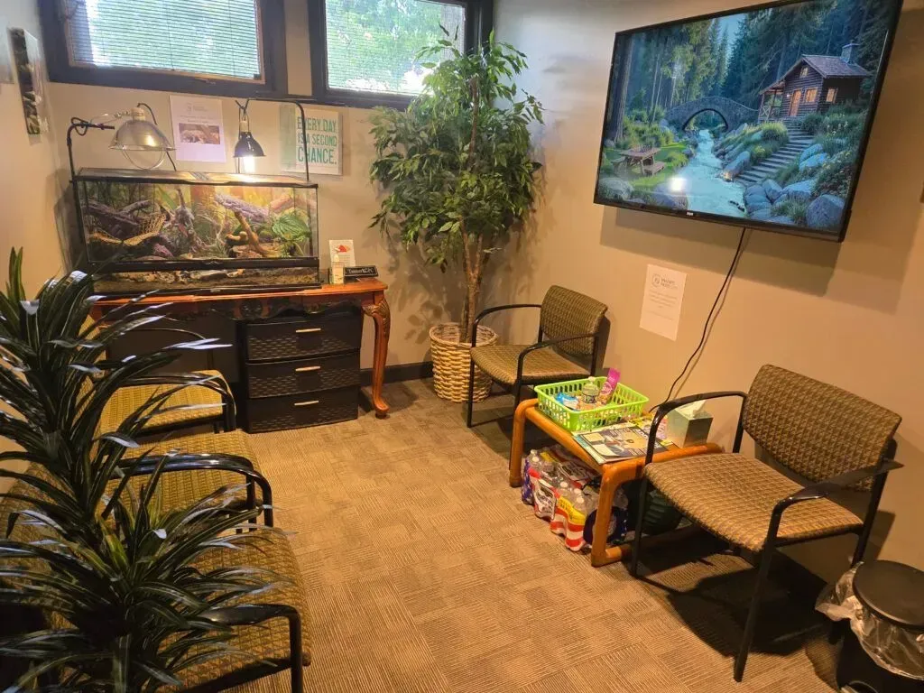 A waiting area with tan walls, two chairs, a potted plant, a television showing a nature scene, and a terrarium on a desk.