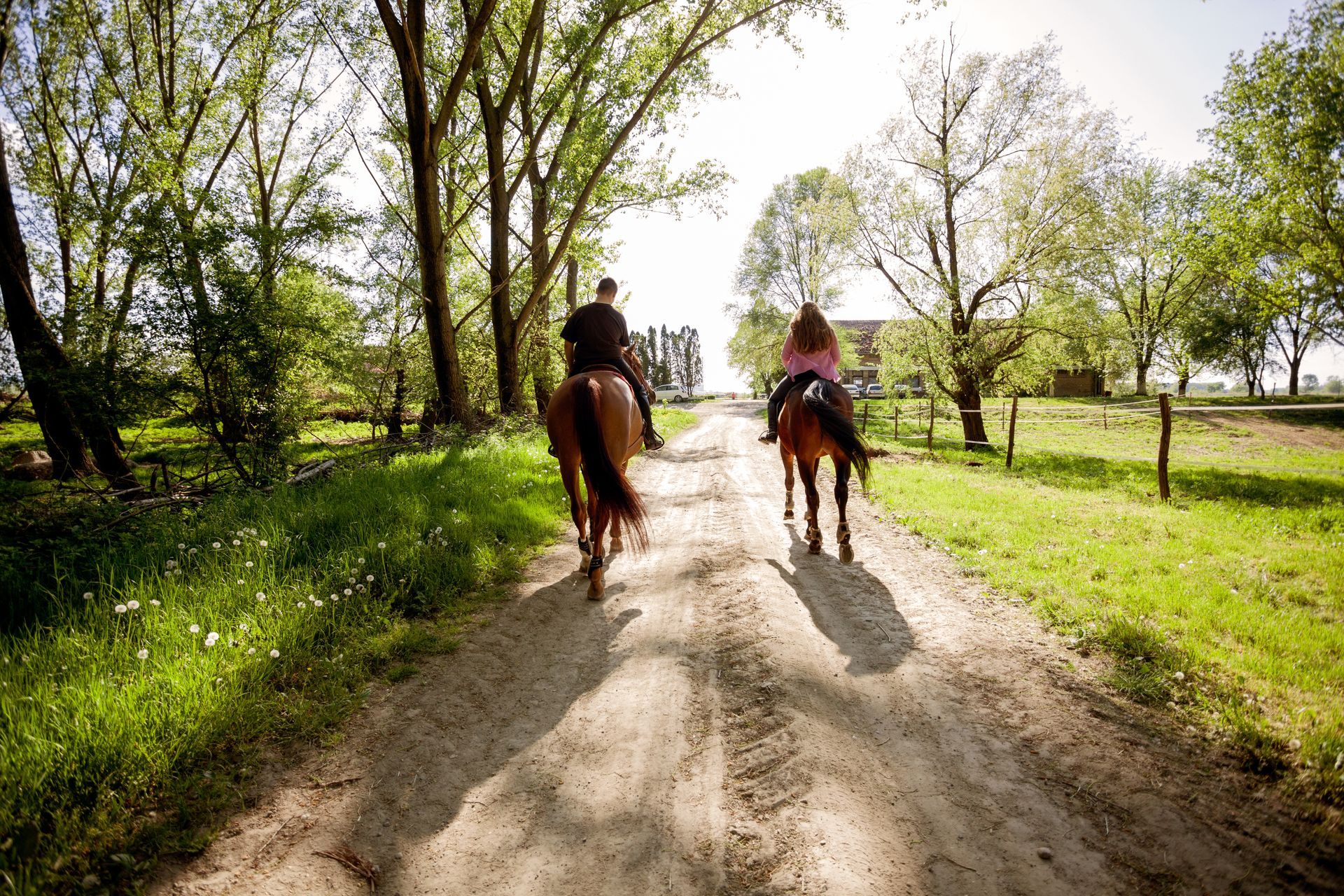 Gite a cavallo