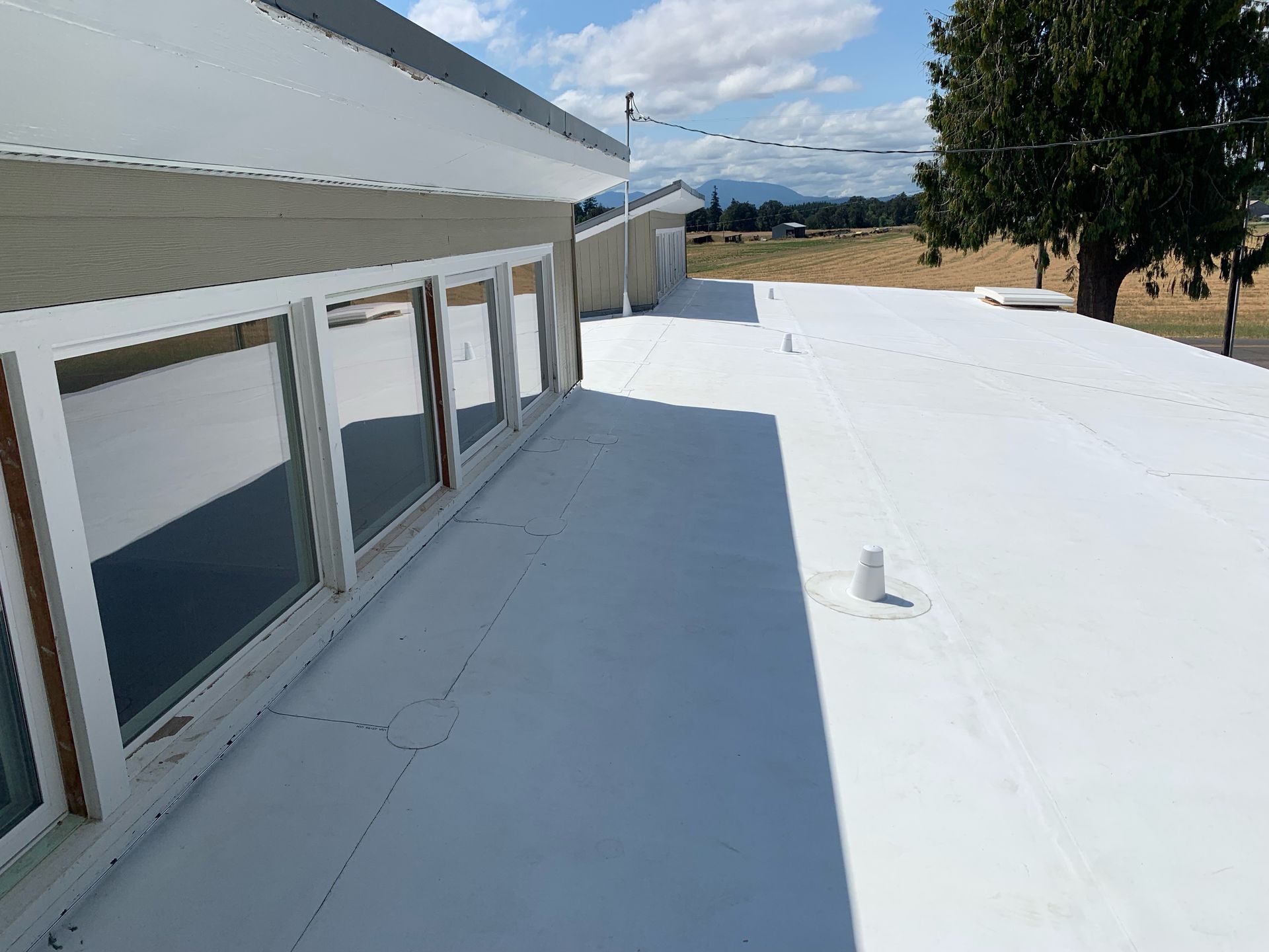 The roof of a building with a white roof and a tree in the background.