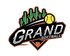 Logo for league