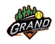 Logo for league