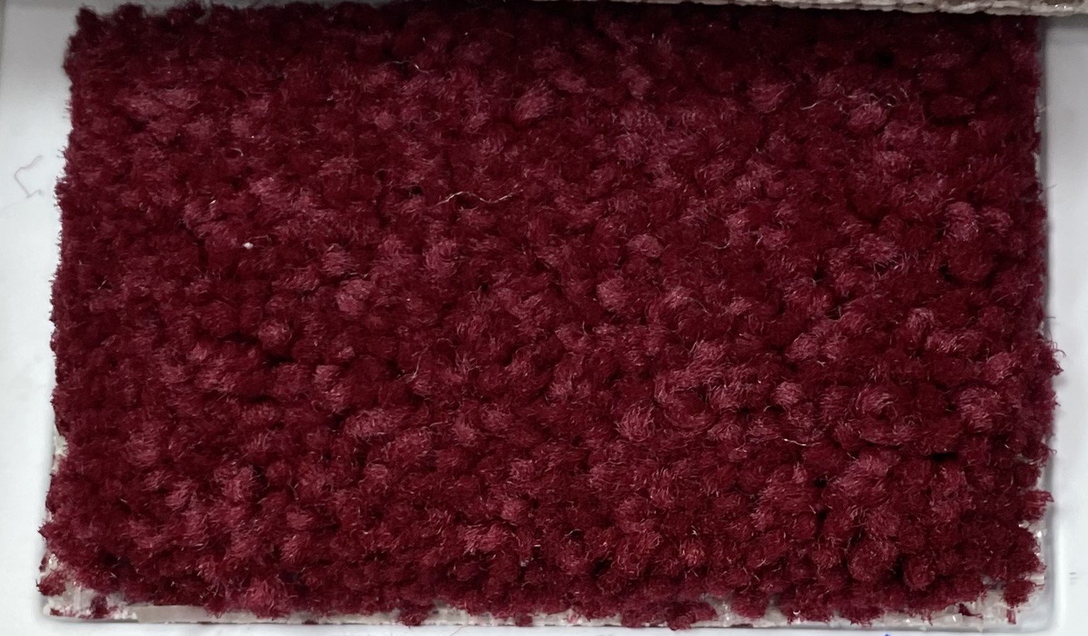 Carpet Cleaning Bronx, NY R & R Carpets