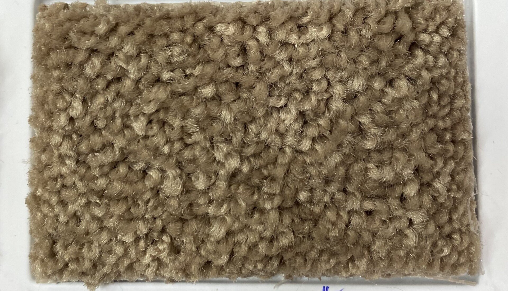 Carpet Cleaning Bronx, NY R & R Carpets