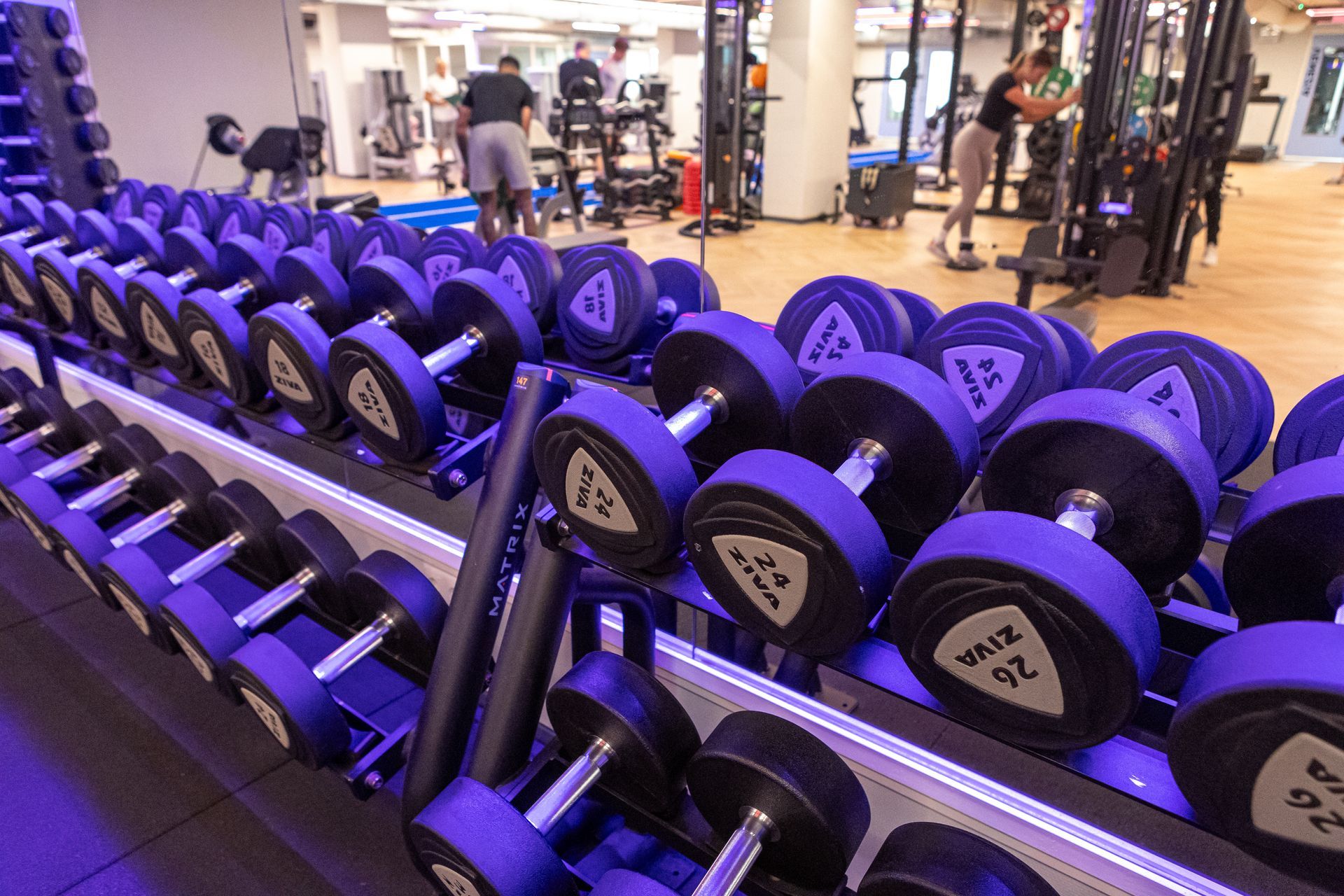 Een rij paarse halters staat opgesteld in een sportschool.
