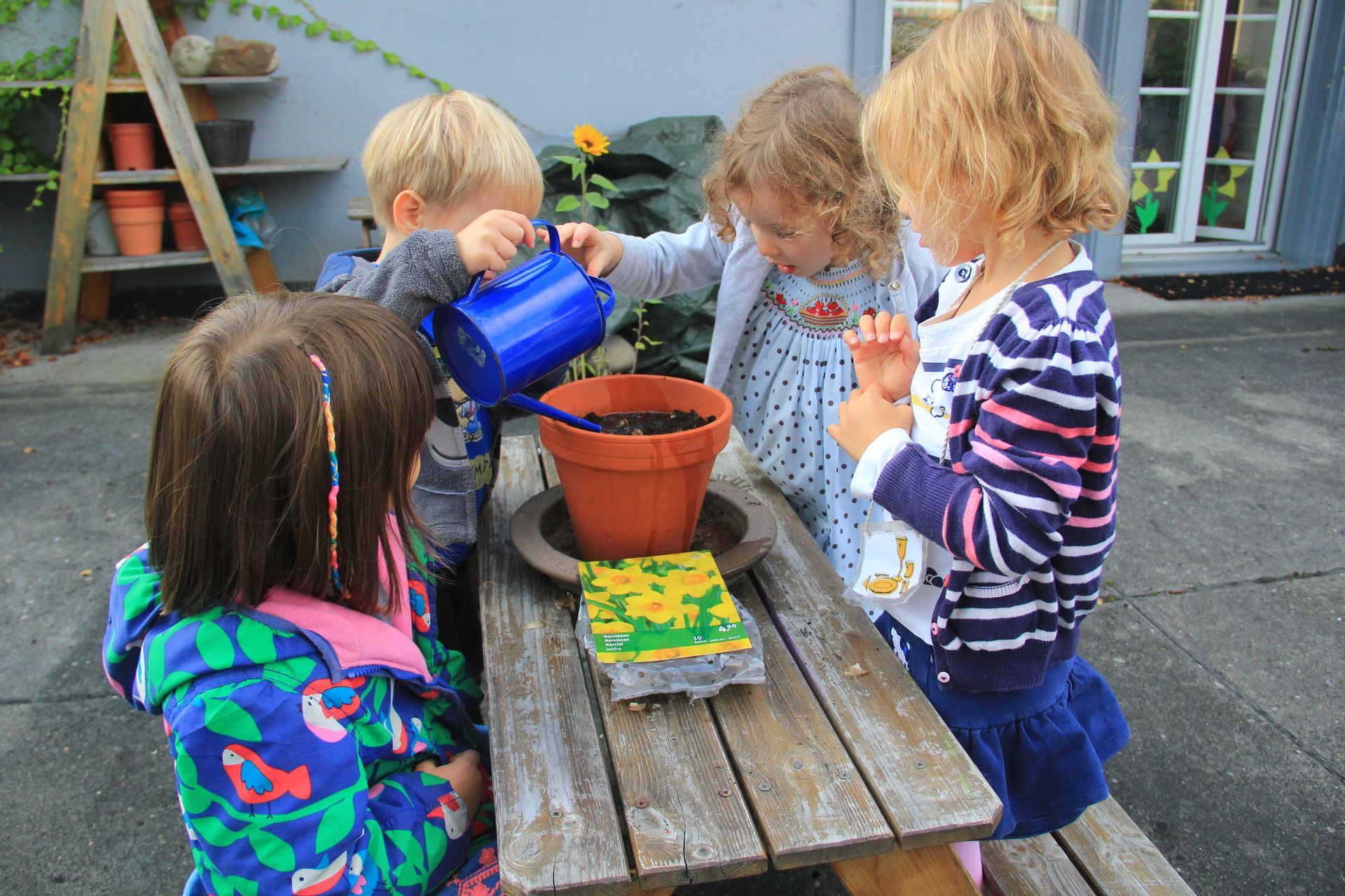 A group of children are sitting at a picnic table watering a potted plant.