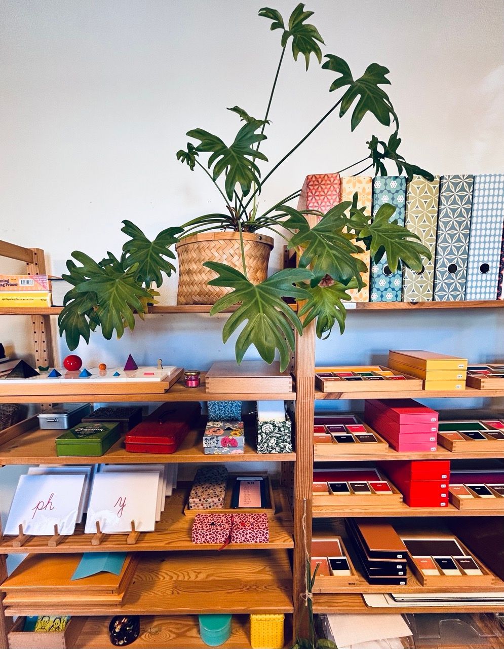 A plant is sitting on top of a wooden shelf in a room.
