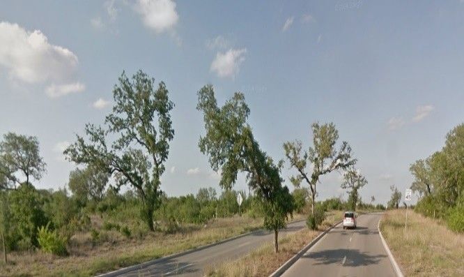 Road with trees on either side, a car driving on the right lane, blue sky with some clouds.