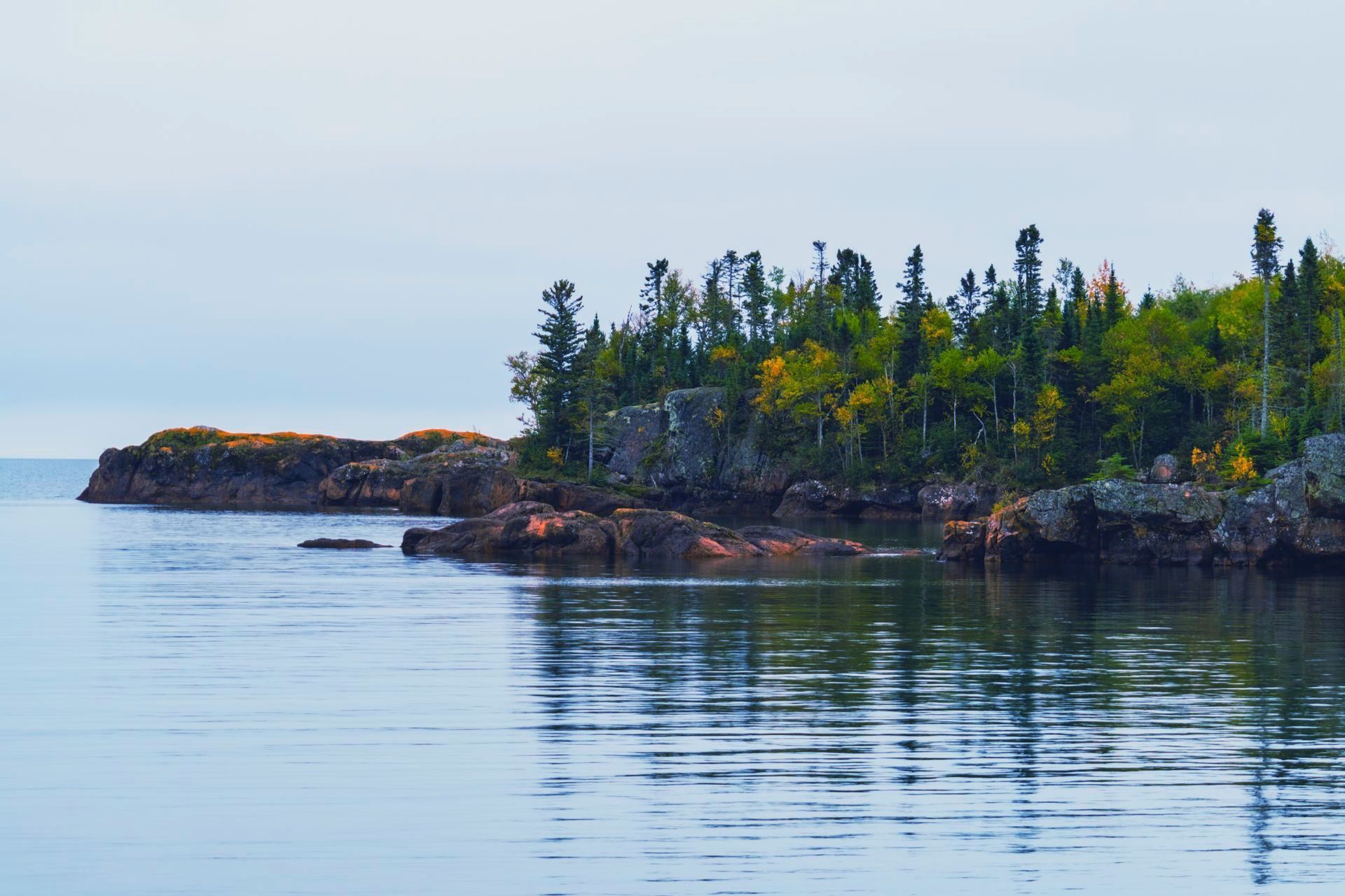 A lake with a small island in the middle of it and trees on the shore.