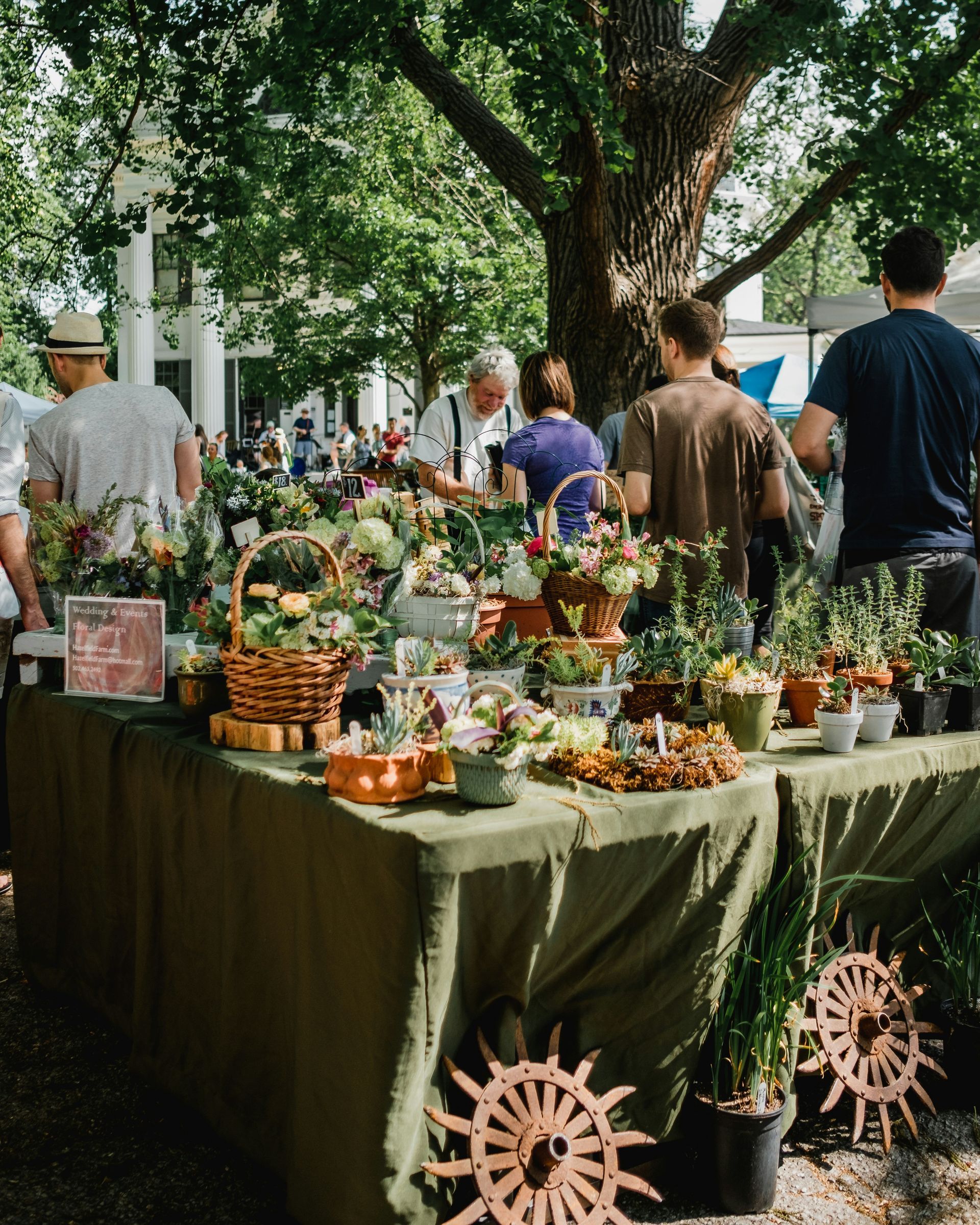 A group of people are standing around a table filled with potted plants.