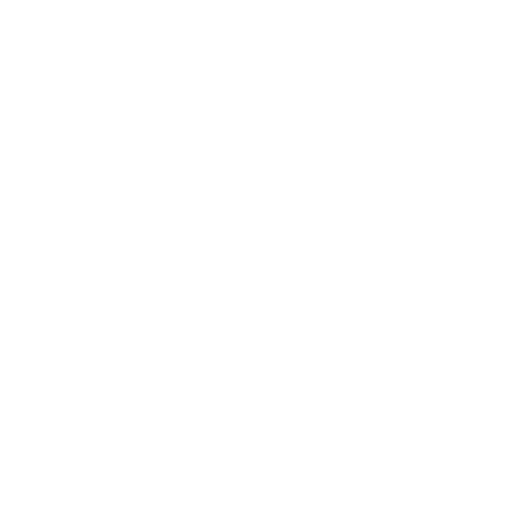 Blank white image.