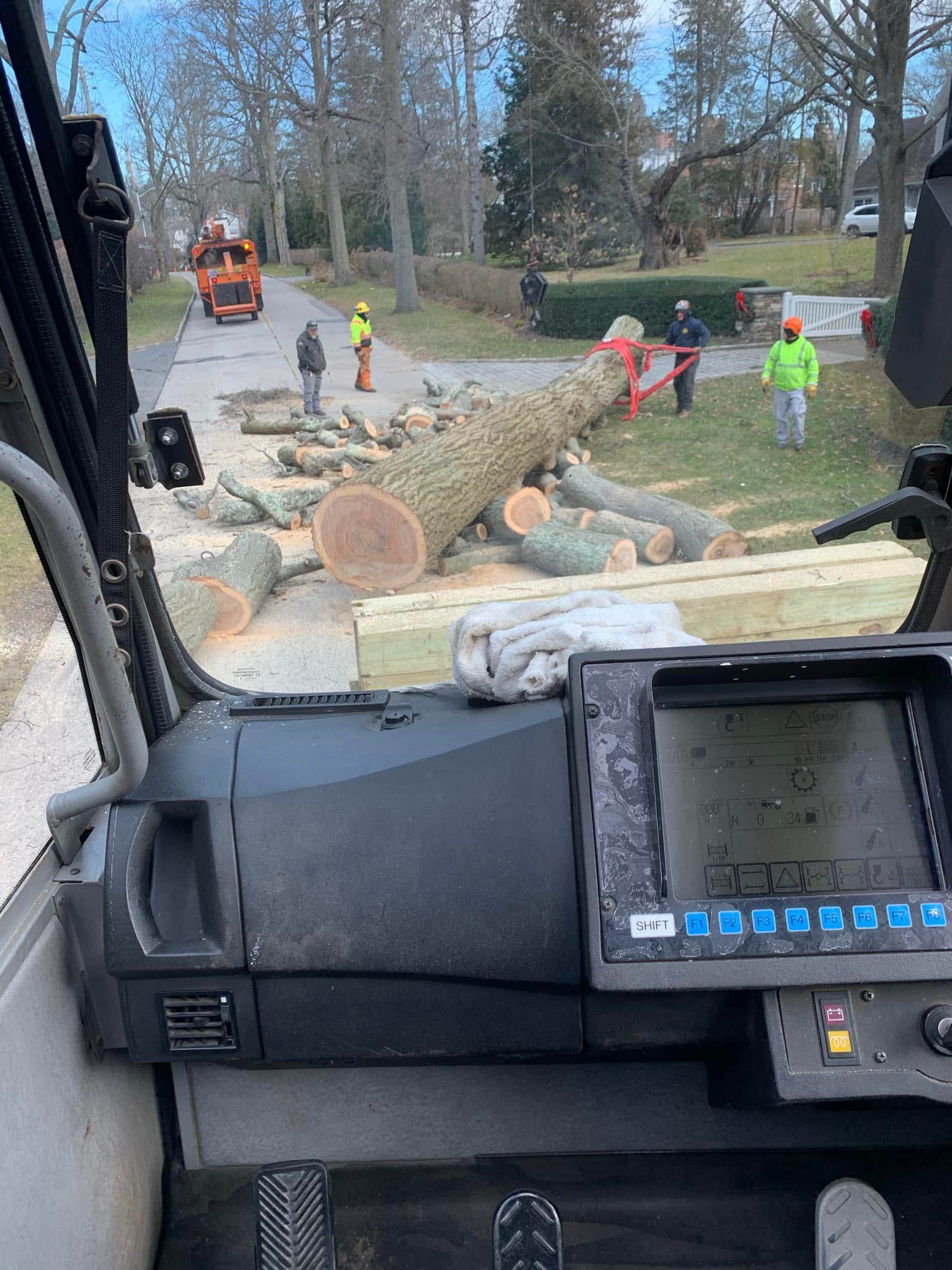 View from crane cab: workers cutting a fallen tree in a residential street. Orange crane, green vests.