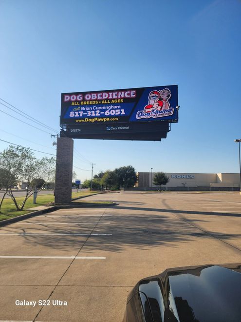Dog obedience billboard over a parking lot under a clear blue sky, with a car hood in the foreground
