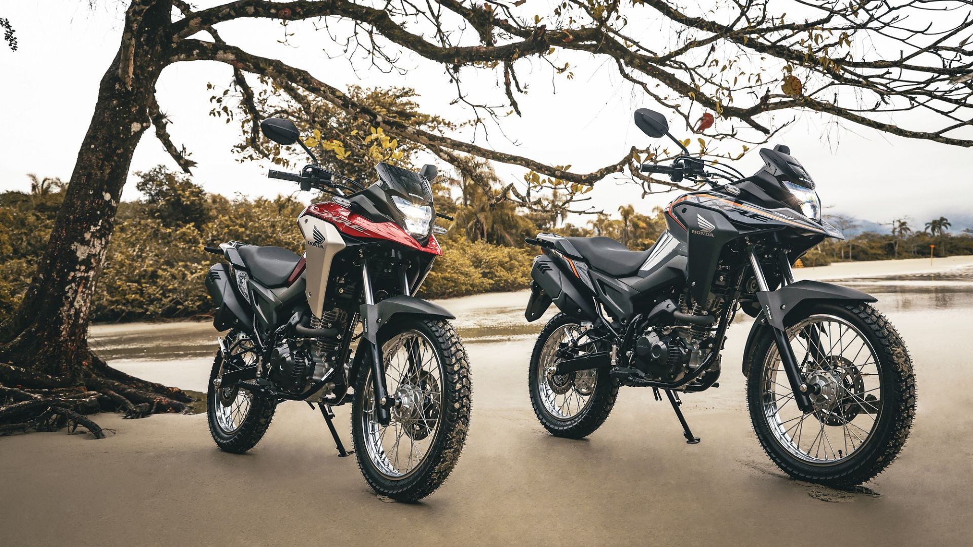 Two motorcycles parked on a wet road beneath bare trees, one red and black, one black.