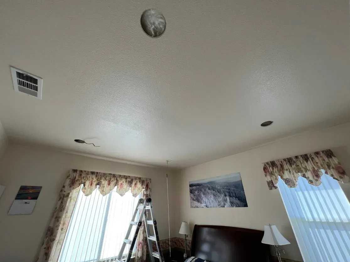 Ceiling with smoke detector, recessed lights, window, and artwork. A ladder is propped near the window.