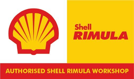 Shell Rimula