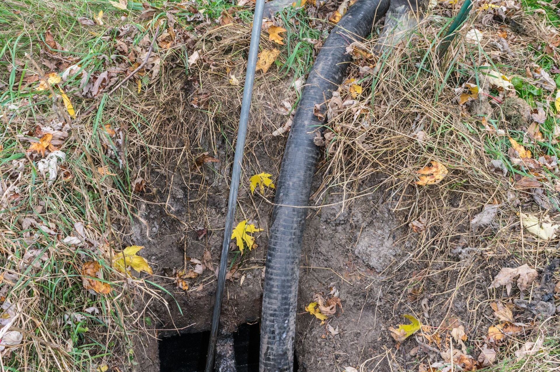 A man is digging a hole in the ground with a shovel.