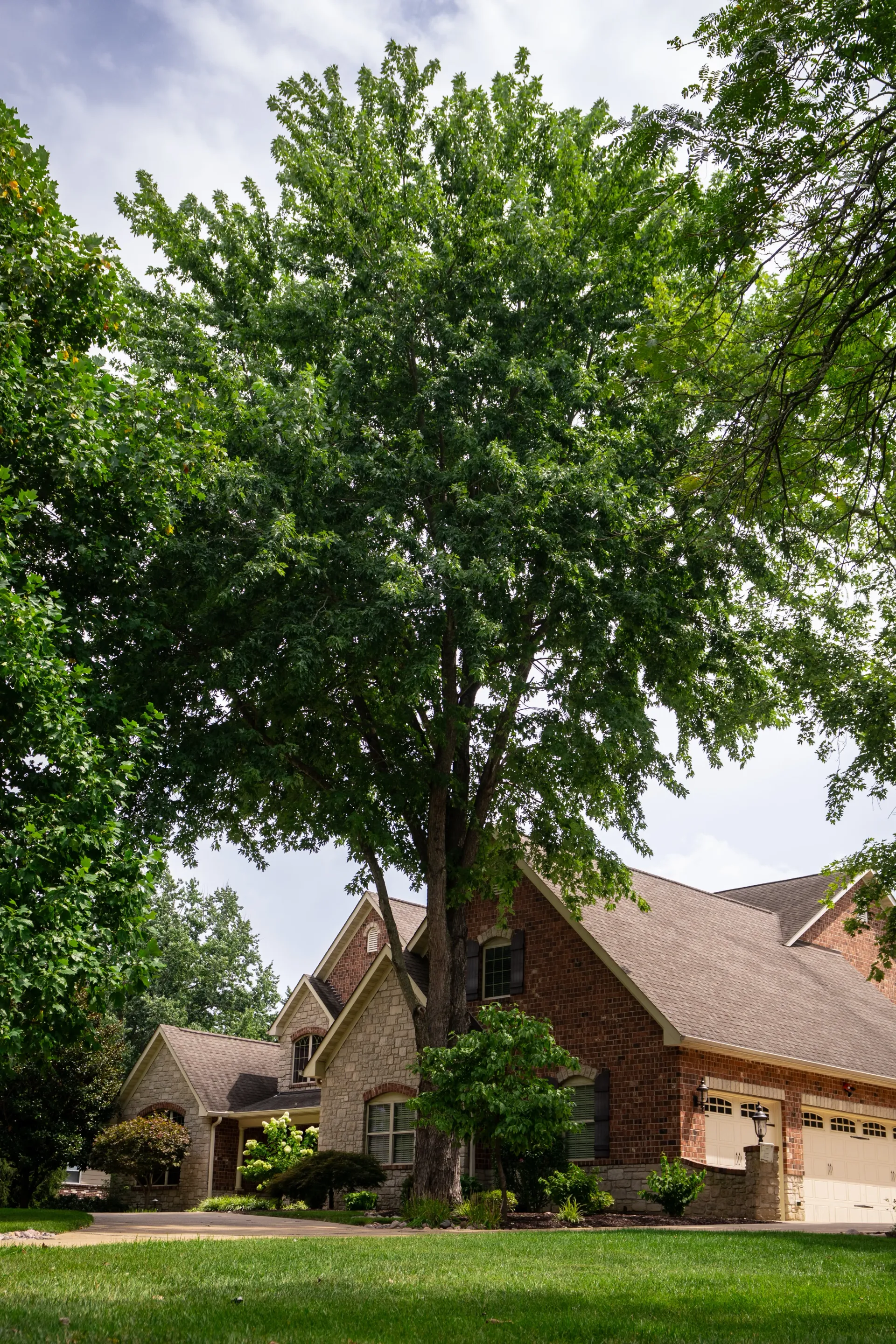 Residential Landscape Design in Saint Charles County