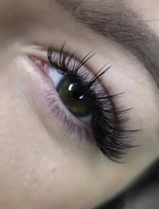 Strip Lash Styling Workshop
