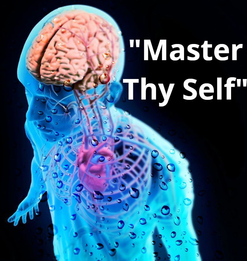 Online Brain-Body Sequence Fitness Classes
