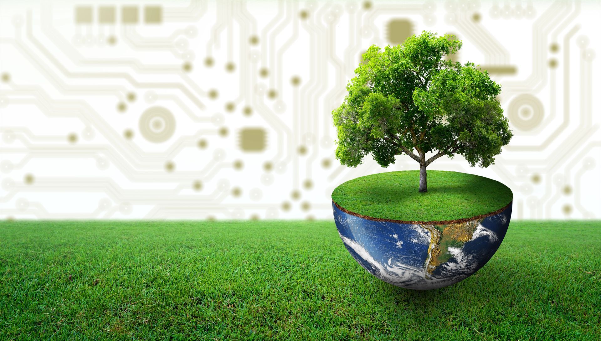 collaborazione con il dipartimento di Ingegneria Ambientale del Politecnico di Torino