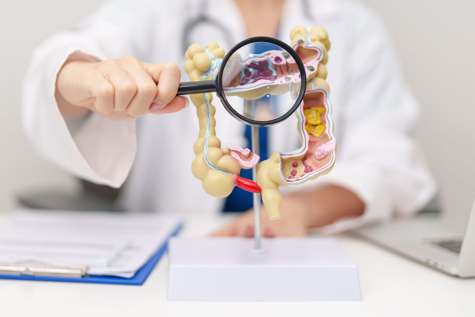 Doctor examining a colon model with a magnifying glass at a desk Doctor examining a colon model with a magnifying glass at a desk