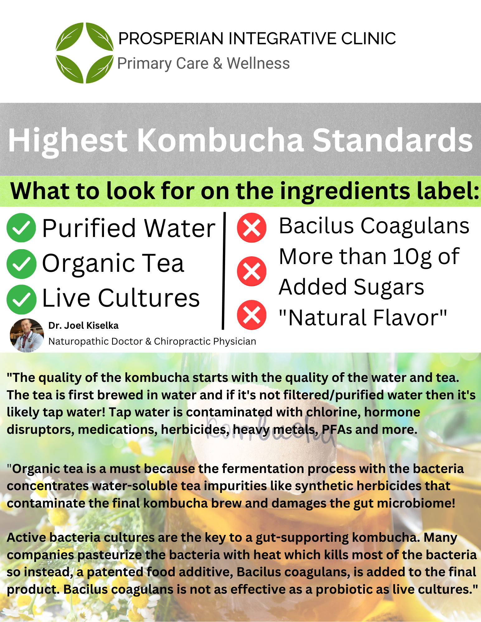 Poster on kombucha standards, listing ingredients to seek and red flags to avoid.