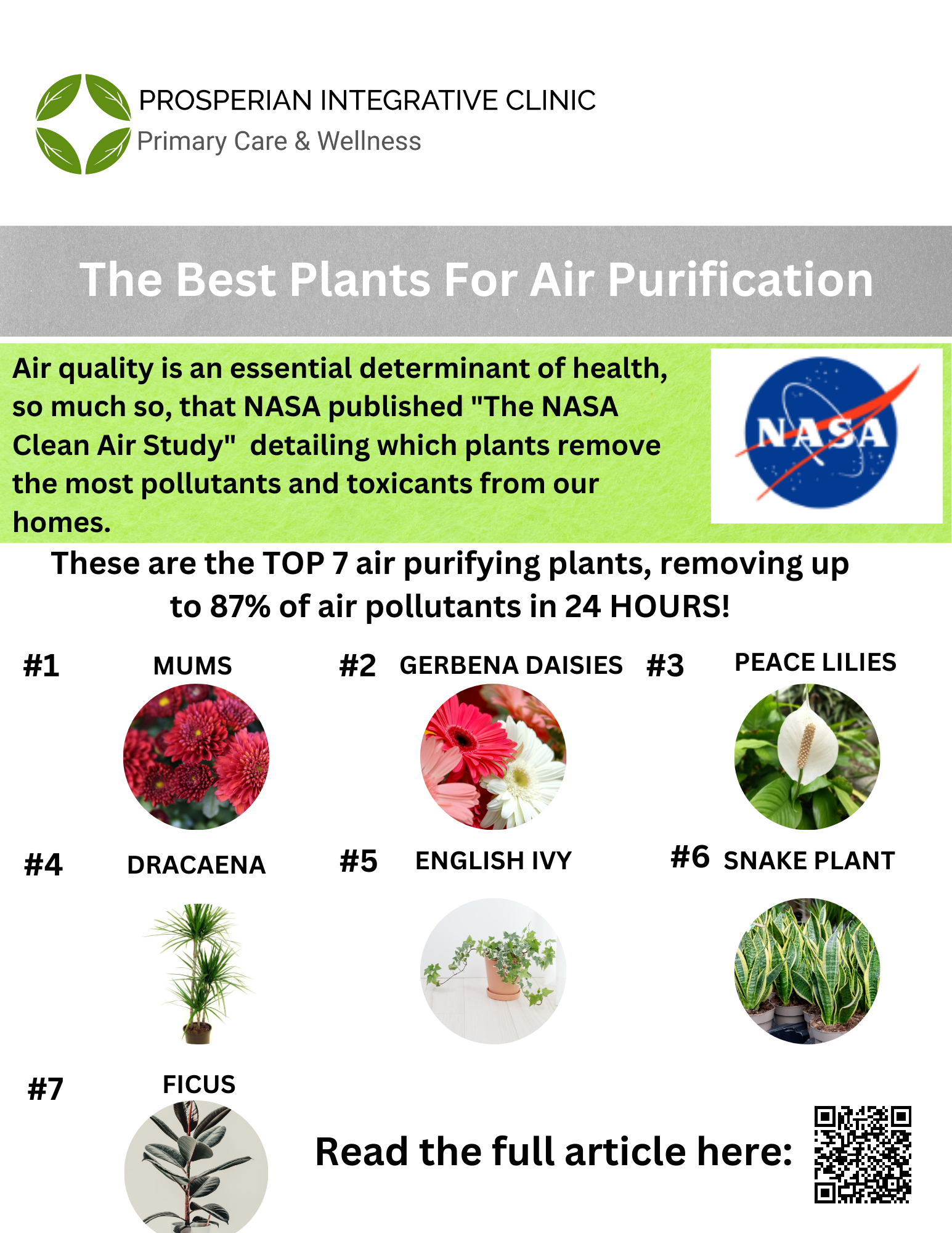 Infographic of NASA's top air-purifying houseplants with plant names, photos, and a QR code.