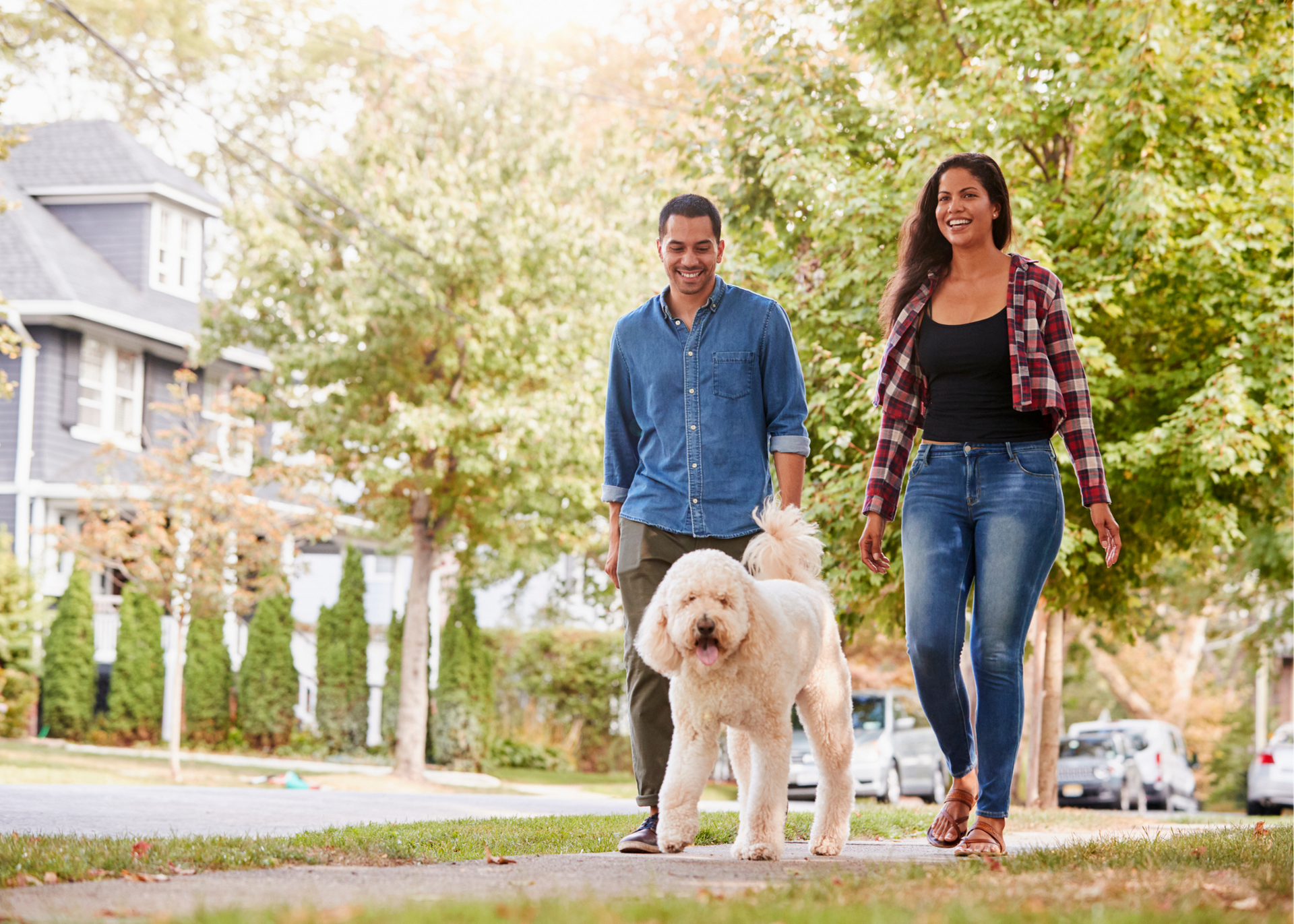Two people walking a fluffy white dog on a leafy suburban sidewalk