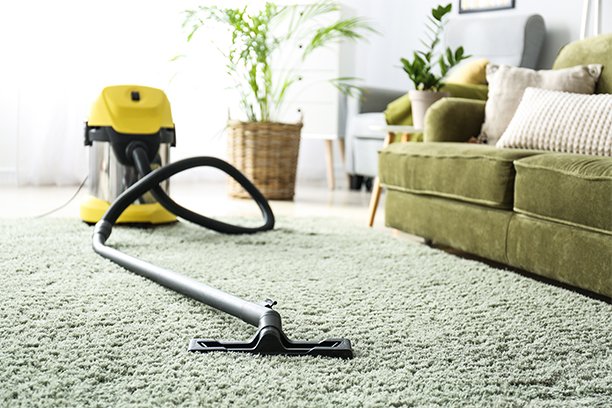 Carpet Cleaning St Cloud Mn
