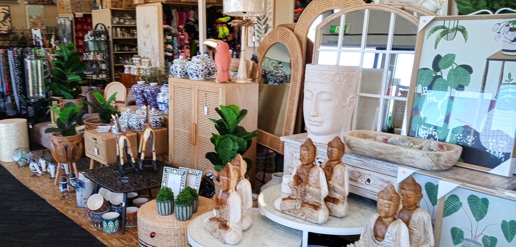 A store filled with lots of decorations and plants.