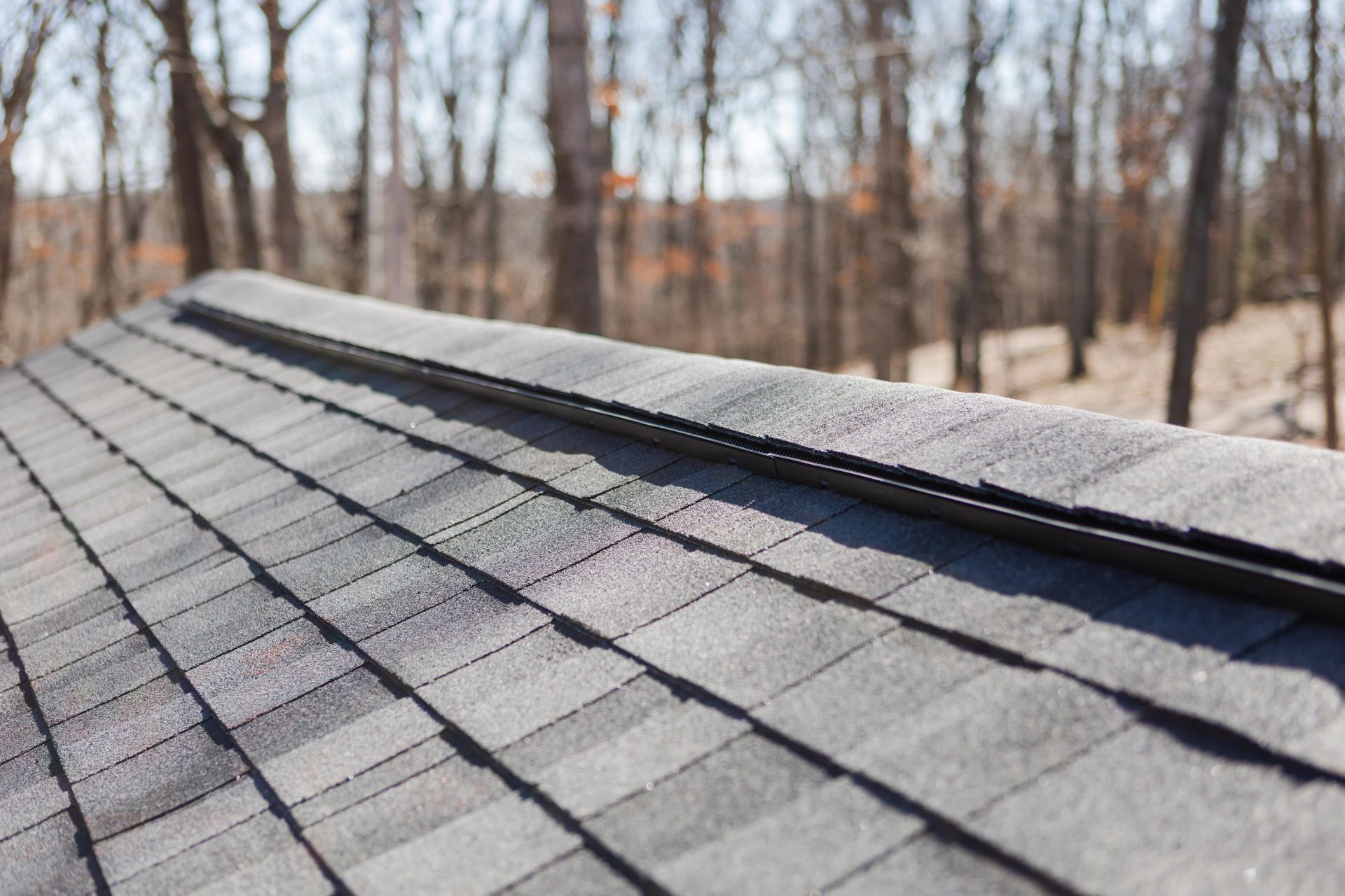 Close-up of a gray shingled roof with a black ridge vent, forest background.