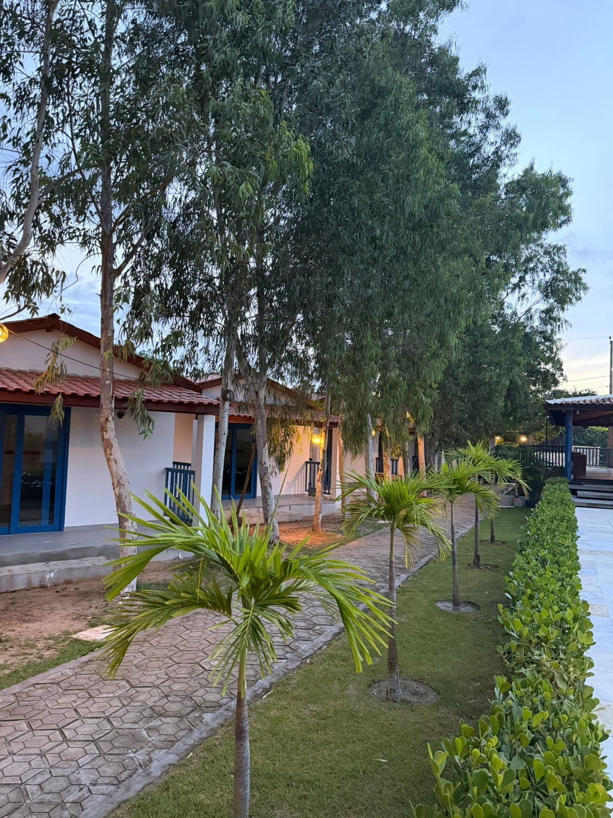 Caminho arborizado ao lado de edifícios brancos com telhados vermelhos e portas azuis em um pátio.